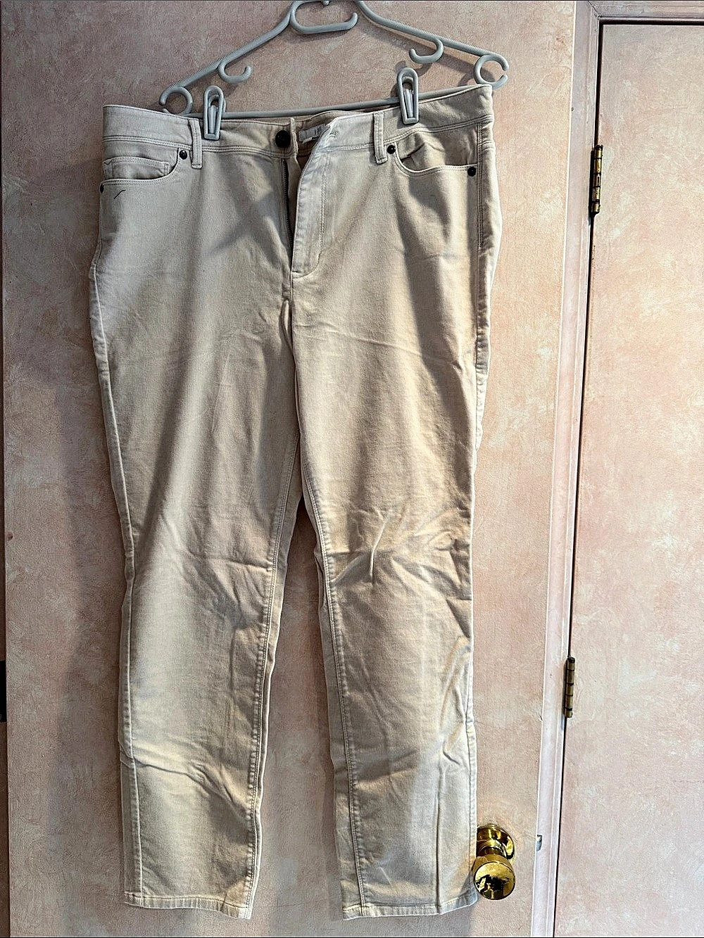 J. Jill Straight Leg Pants in Beige Size 14 NWT